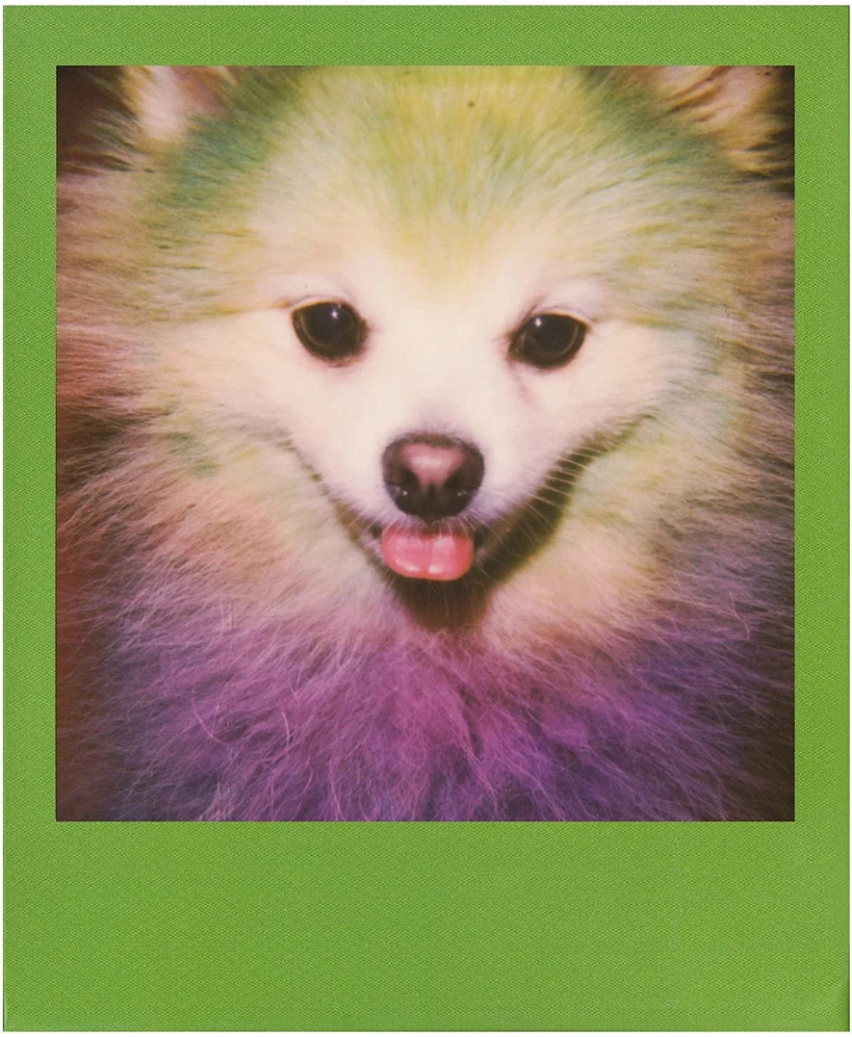 91F4M2Tzcl. Ac Sl1500 Polaroid &Lt;Div Id=&Quot;Featurebullets_Feature_Div&Quot; Class=&Quot;Celwidget&Quot; Data-Feature-Name=&Quot;Featurebullets&Quot; Data-Cel-Widget=&Quot;Featurebullets_Feature_Div&Quot;&Gt; &Lt;Div Id=&Quot;Feature-Bullets&Quot; Class=&Quot;A-Section A-Spacing-Medium A-Spacing-Top-Small&Quot;&Gt; &Lt;Ul Class=&Quot;A-Unordered-List A-Vertical A-Spacing-Mini&Quot;&Gt; &Lt;Li&Gt;&Lt;Span Class=&Quot;A-List-Item&Quot;&Gt;Color-Full Film: Polaroid Instant Color Film For 600 Cameras And I-Type Cameras With 8 Unique Color Framed Photos.&Lt;/Span&Gt;&Lt;/Li&Gt; &Lt;Li&Gt;&Lt;Span Class=&Quot;A-List-Item&Quot;&Gt;Light It Up: Polaroid Instant Film Loves Light. The More Light In Your Shot, The Better Your Photo Will Turn Out. Always Shoot In Bright Light Or Use The Camera Flash.&Lt;/Span&Gt;&Lt;/Li&Gt; &Lt;Li&Gt;&Lt;Span Class=&Quot;A-List-Item&Quot;&Gt;Develop: All Photos Appear Blank At First. Photos Develop Within 15 Minutes. Shield Photos From The Light And Place Them Face Down As They Develop.&Lt;/Span&Gt;&Lt;/Li&Gt; &Lt;Li&Gt;&Lt;Span Class=&Quot;A-List-Item&Quot;&Gt;Create: Every Photo You Create Is Rich Textured And Unique. Unpredictable, Imperfect, And Impossible To Reproduce.&Lt;/Span&Gt;&Lt;/Li&Gt; &Lt;Li&Gt;&Lt;Span Class=&Quot;A-List-Item&Quot;&Gt;Backward Compatible: Film Is Compatible With Polaroid 600, Polaroid Impulse, Polaroid Slr680, And Newer Polaroid I-Type One Step 2 Cameras.&Lt;/Span&Gt;&Lt;/Li&Gt; &Lt;Li&Gt;&Lt;Span Class=&Quot;A-List-Item&Quot;&Gt;Store Chilled: Temperature Affects How The Film Works So Keep It Stored Chilled In The Fridge, Do Not Freeze.&Lt;/Span&Gt;&Lt;/Li&Gt; &Lt;/Ul&Gt; &Lt;/Div&Gt; &Lt;/Div&Gt; &Lt;Div Id=&Quot;Globalstoreinfobullets_Feature_Div&Quot; Class=&Quot;Celwidget&Quot; Data-Feature-Name=&Quot;Globalstoreinfobullets&Quot; Data-Cel-Widget=&Quot;Globalstoreinfobullets_Feature_Div&Quot;&Gt;&Lt;/Div&Gt; &Lt;Div Id=&Quot;Amazonglobal_Feature_Div&Quot; Class=&Quot;Celwidget&Quot; Data-Feature-Name=&Quot;Amazonglobal&Quot; Data-Cel-Widget=&Quot;Amazonglobal_Feature_Div&Quot;&Gt;&Lt;/Div&Gt; &Lt;Div Id=&Quot;Hlcxcomparisonjumplink_Feature_Div&Quot;&Gt;&Lt;/Div&Gt; Polaroid Polaroid Originals Color Film For 600 - Color Frames