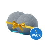 echo dot 4