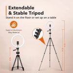 TaoTronics 12" Selfie Ring Light With 3 Color Modes And 2 Phone Holders