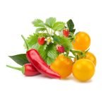 Click & Grow Fruit and Veggie