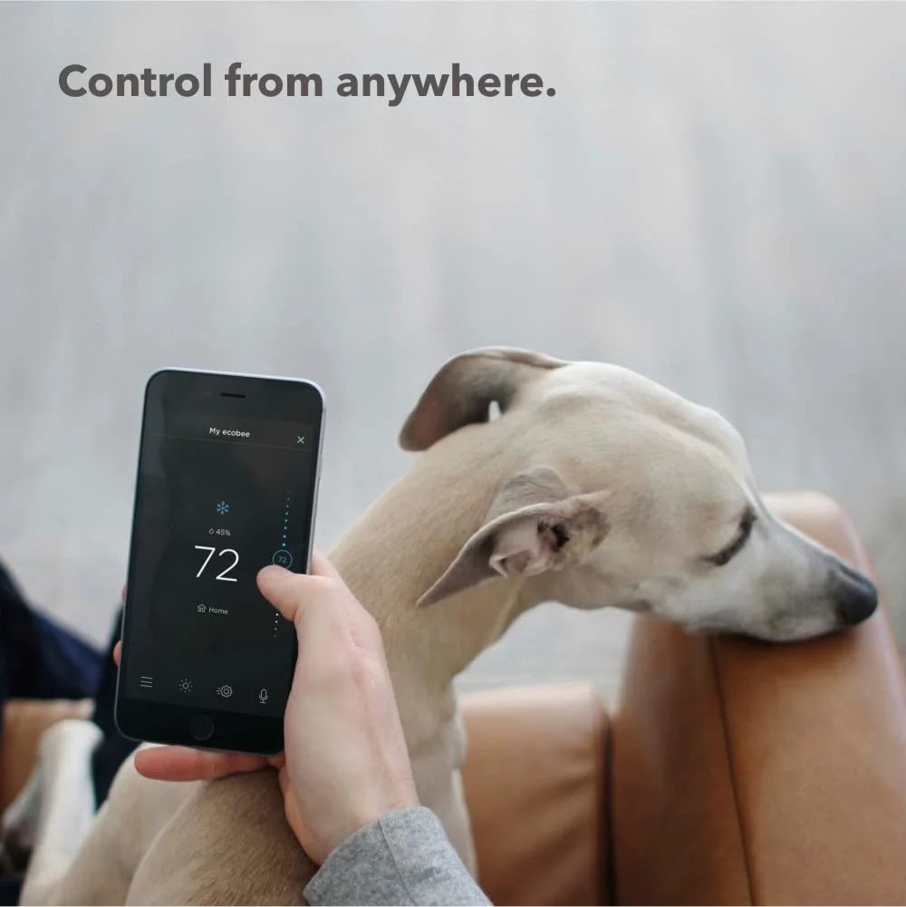 Ecobee Smartsensor 2 Pack - White