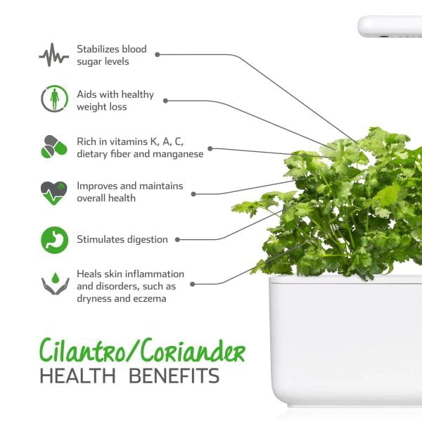 Click & Grow Cilantro/Coriander Plant Pods 3 Pack