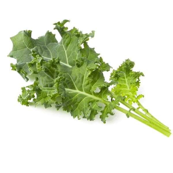 Click & GrowGreen Kale Plant 3-pack