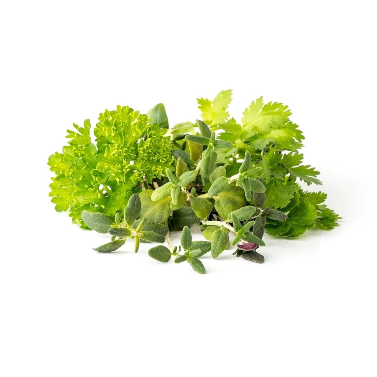 Click &Amp; Grow Salad Greens Mix (Pack Of 9)