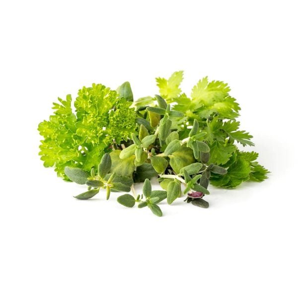 Click & Grow Salad Greens Mix (Pack of 9)