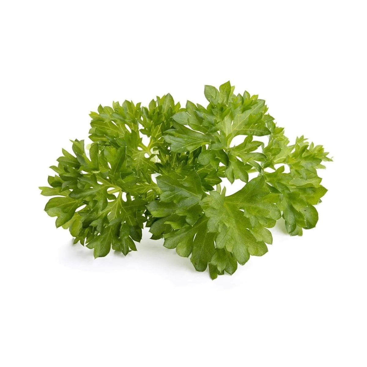 Click &Amp; Grow Curly Parsley Plant Pods (Pack Of 3)