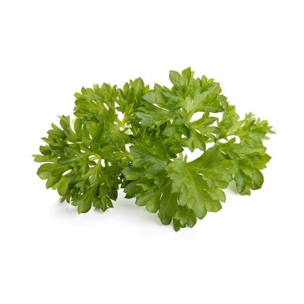 Click & Grow Curly Parsley Plant Pods (Pack of 3)
