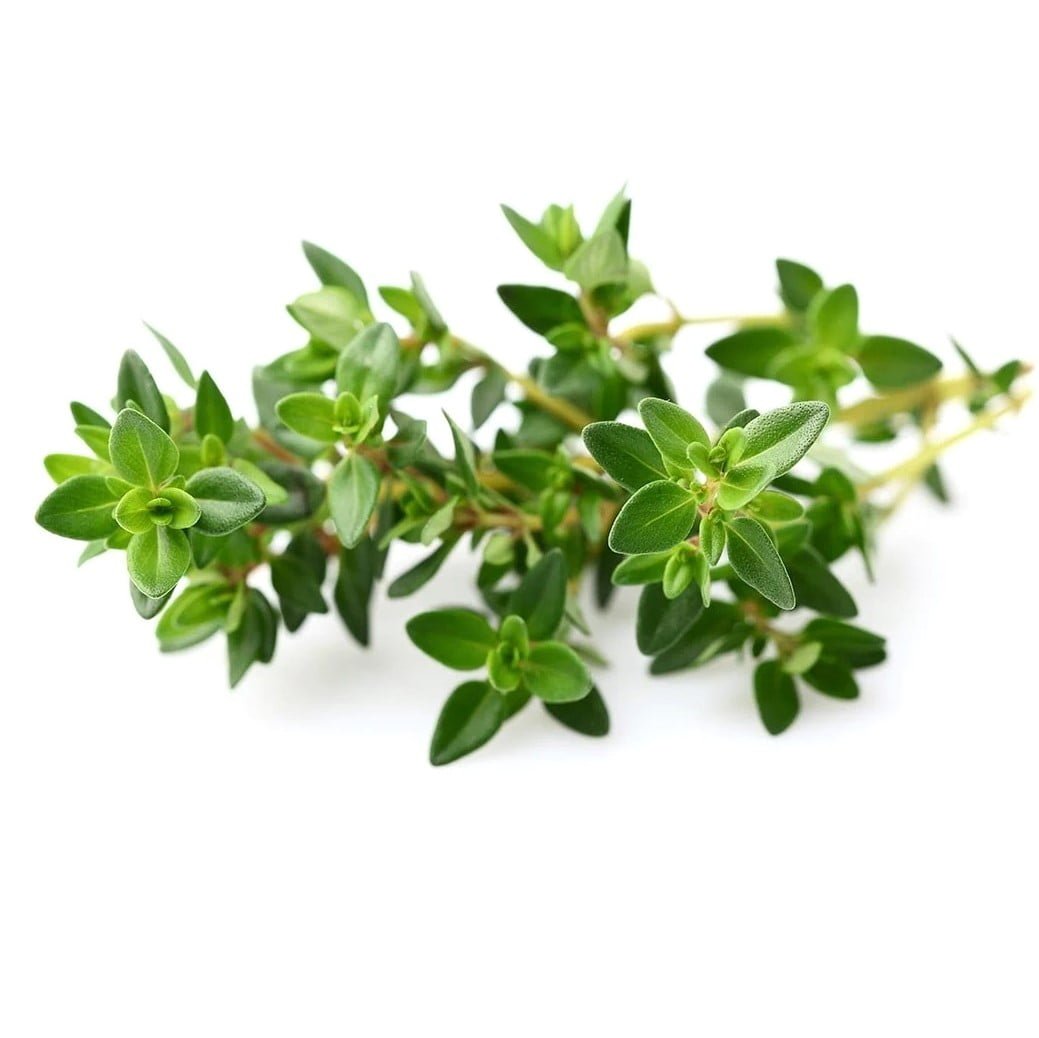 Click &Amp; Grow Plant Pods Thyme (Pack Of 3)