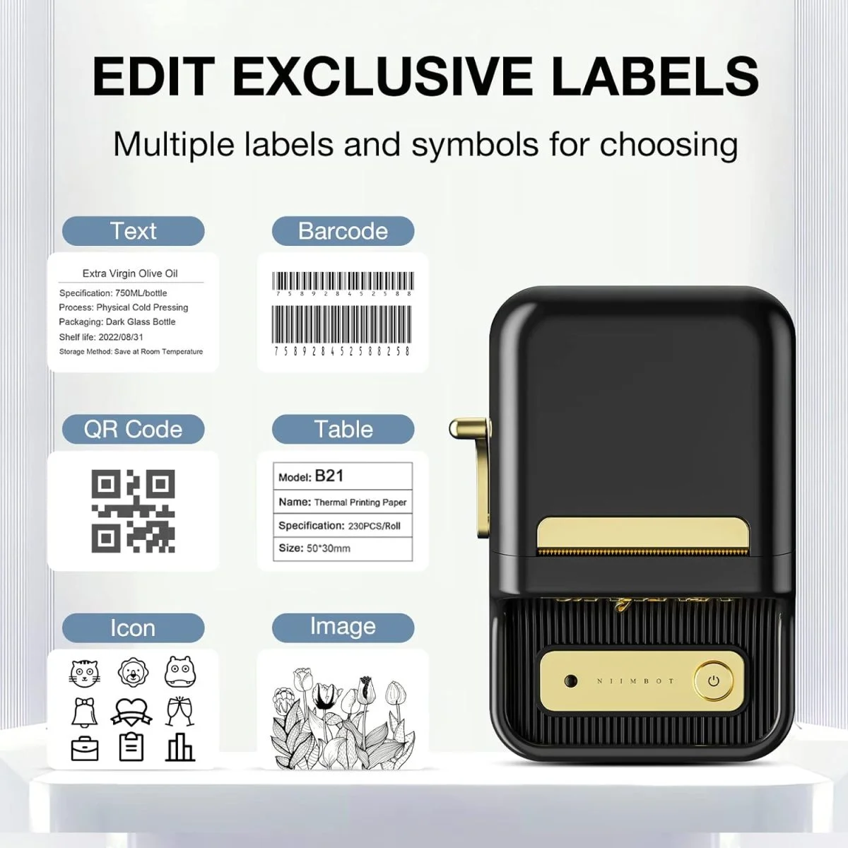 Niimbot B21 Label Maker Portable Thermal Label Printer - Black