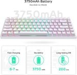 RK Royal Kludge RK84 Wireless 75% RGB Mechanical Gaming Keyboard,Brown Switch - White