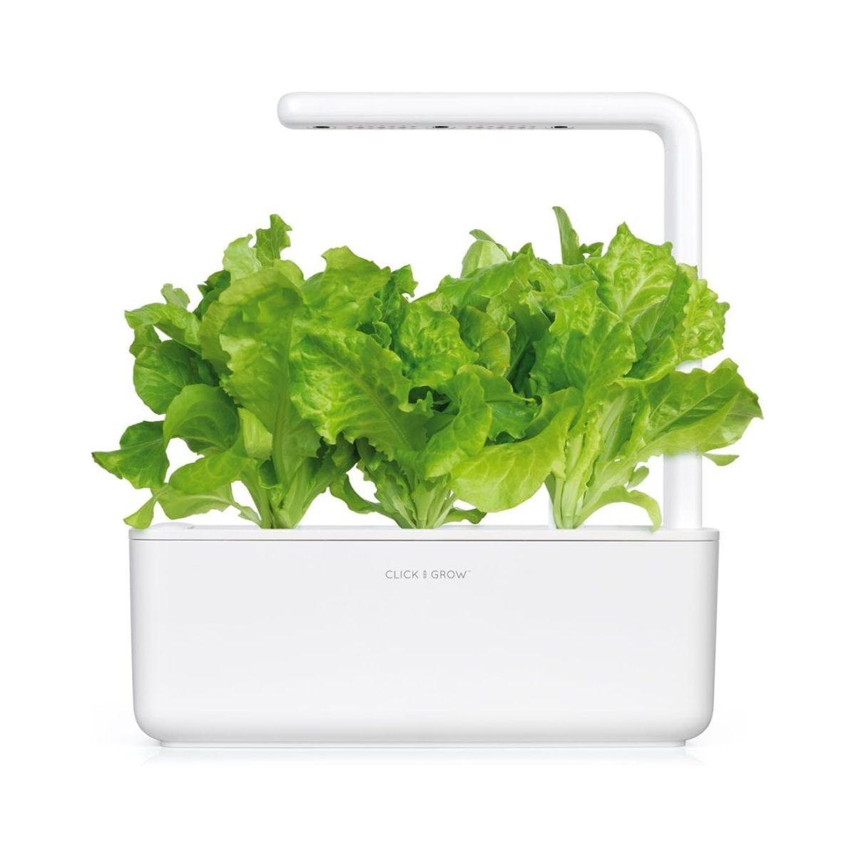 Click &Amp; Grow Green Lettuce Pods (Pack Of 3)