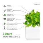 Click & Grow Green Lettuce Pods (Pack of 3)