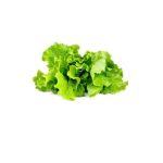 Click & Grow Green Lettuce Pods (Pack of 3)