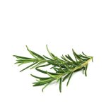 Click & Grow Rosemary Pods (Pack of 3)