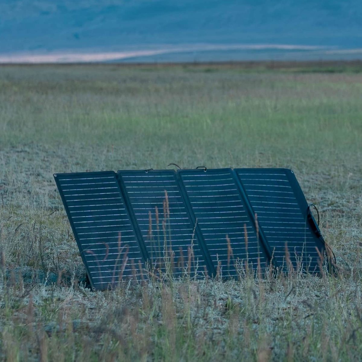 Ecoflow 160W Portable Solar Panel