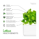 Click & Grow Green Lettuce Pods (Pack of 3)