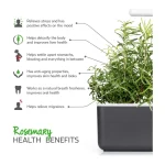 Click & Grow Rosemary Pods (Pack of 3)