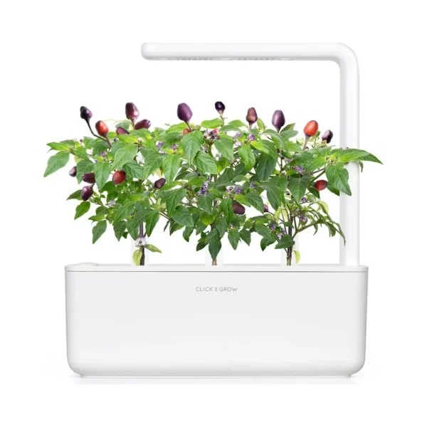 Click & Grow purple chili Pods (Pack of 3)