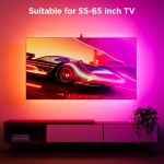 Govee Envisual TV Backlight 3S (55-65 Inch)