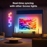 Govee Envisual TV Backlight 3S (55-65 Inch)