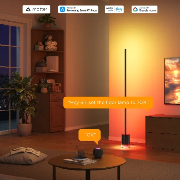 Govee Floor Lamp 2