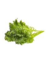 Click & Grow Wasabi Mustard Pods (Pack of 3) - Image 3