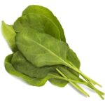 Click & Grow Green Chard (Pack of 3) - Image 2