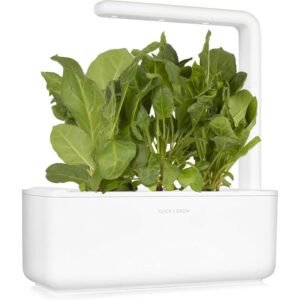 Detail 1013812 Detail2 Click And Grow Grow Fresh &Lt;Strong&Gt;Green Chard&Lt;/Strong&Gt; At Home With Click &Amp; Grow Green Chard Plant Pods. This Pack Includes 3 Pre-Seeded Pods Designed For Compatible Click &Amp; Grow Smart Gardens, Providing A Simple Way To Grow Nutritious Leafy Greens Indoors With Minimal Maintenance. Click &Amp; Grow Click &Amp; Grow Green Chard (Pack Of 3)