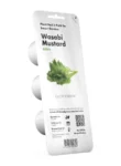 Click & Grow Wasabi Mustard Pods