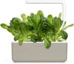 Click & Grow Romaine Lettuce (Pack of 3) - Image 3