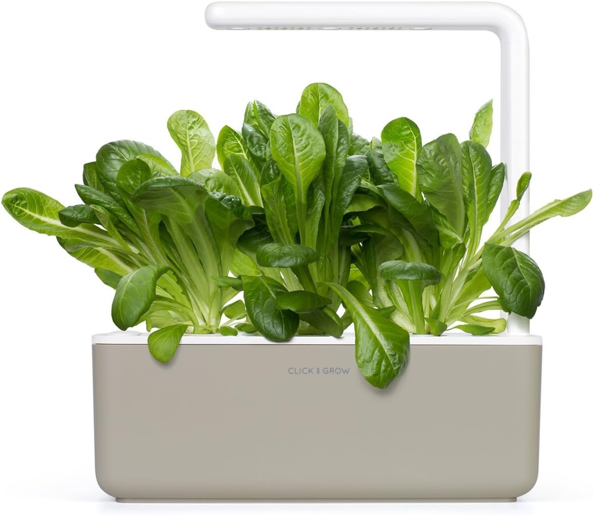 Click &Amp; Grow Romaine Lettuce (Pack Of 3) - Image 3